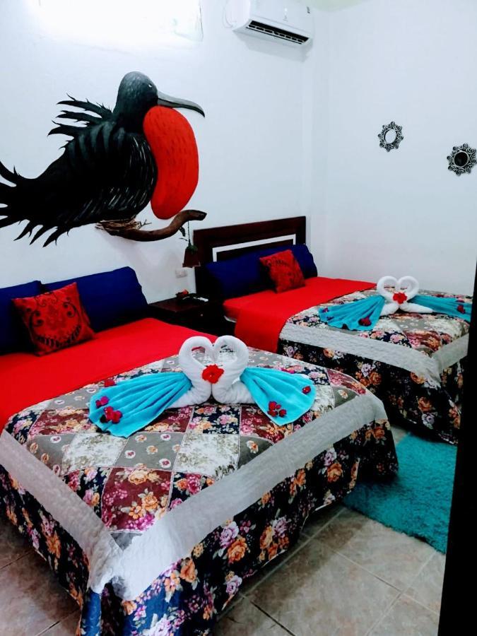 Suite Galarous Island Puerto Ayora  Εξωτερικό φωτογραφία